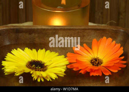 Two marigolds - yellow and orange, floating on woter in wooden bowl. Therapeutic calming spa treatment Stock Photo