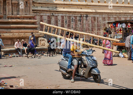 locals with ladder on motorbike, Ranganathaswamy Temple, Srirangapatna, Karnataka, India Stock Photo