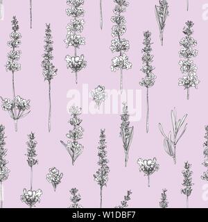 Semless pattern with hand drawn sketch of cute Lavender flower isolated on pink background. France provence retro style for romantic fresh design Stock Vector
