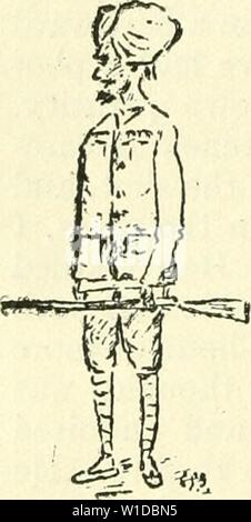 Archive image from page 99 of The diary of a sportsman. The diary of a sportsman naturalist in India . diaryofsportsman00steb Year: 1920  74 DIARY OF A SPORTSMAN NATURALIST streaks across it. 'Twas all I could see, but I knew it was my first tiger lying on its back  I got down, called up the man who had again gone part of the way down the tree, and sent him up to see what I had seen, which he quickly corroborated. The question now to be faced was, what was to be done ? It was no good firing at what I could not see, and I had no intention of spoihng the skin by trying aimless shots at what I wa Stock Photo