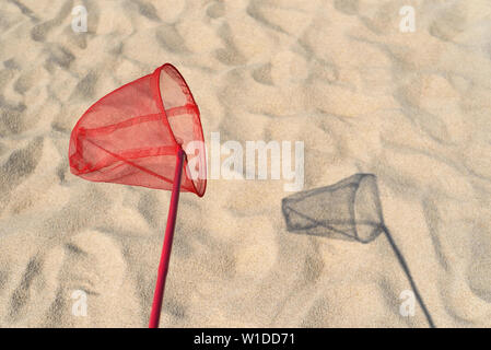 Two little sisters catching butterflies and bugs with their scoop-nets.  Children exploring nature on sunny summer day. Family leisure with kids at  sum Stock Photo - Alamy