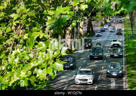 Cars drive between plane trees of the old tree avenue of the federal highway No.1 (Ruhrschnellweg) in the urban area of Dortmund, Germany.   ---   Autos fahren zwischen Plantanen der alten Baumallee auf der Deutschen Alleenstraße der Bundesstraße 1 Ruhrschnellweg im Stadtgebiet von Dortmund, Deutschland. Stock Photo