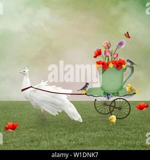 Surreal scenery with a white peacock dragging a carriage in the shape of a cup full of flowers Stock Photo