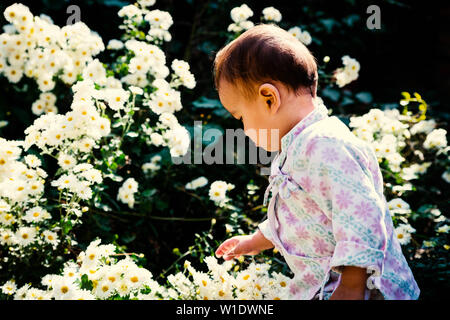 Baby boy wearing traditional Nepali daura bhoto plays with white flowers in garden Stock Photo