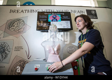Royal Society Summer Science Exhibition, 3D printed model of human lung and brain, exploring how the brain influences the breathing process. Stock Photo