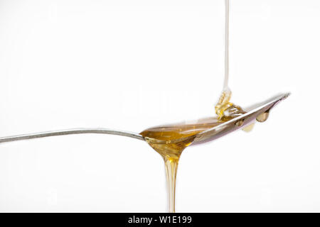 Honey dripping from a silver spoon on isolated white background Stock Photo