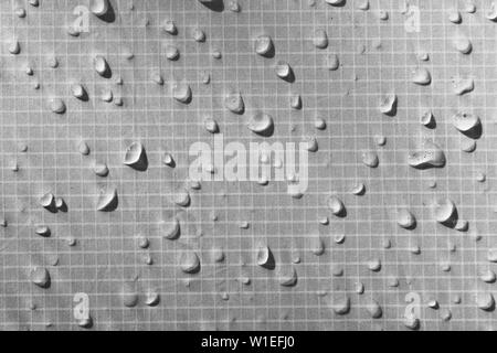 Large water droplets on a neutral gray textile with a waterproof effect. Water-repellent impregnation. Texture drops on the fabric. Stock Photo