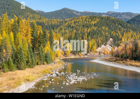 Fall colours along McDonald Creek, Glacier National Park, Montana, United States of America, North America