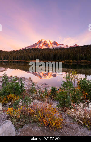 Reflection Lake, Mount Rainier National Park, Washington State, United States of America, North America Stock Photo