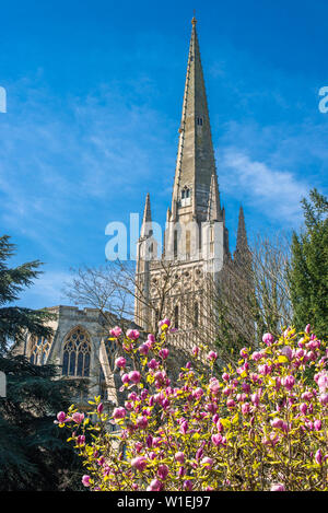The Spire of Norwich Cathedral, Norwich, Norfolk, East Anglia, England, United Kingdom, Europe Stock Photo