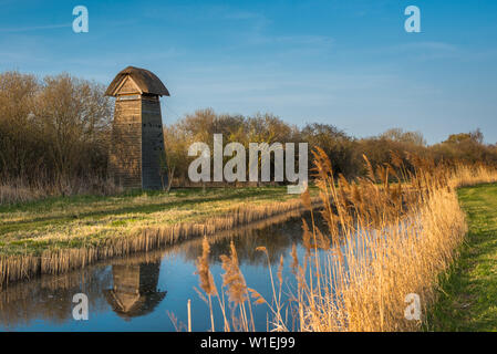 Tower hide at Wicken Fen Nature Reserve in warm evening light on Burwell Lode, Cambridgeshire, East Anglia, England, United Kingdom, Europe Stock Photo