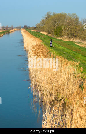 Burwell Lode at Wicken Fen, Cambridgeshire, East Anglia, England, United Kingdom, Europe Stock Photo