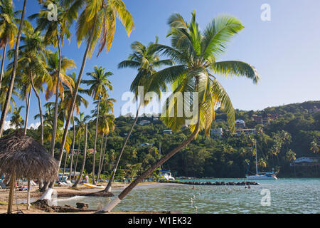 Coconut palms at the water's edge, LaBas Beach, Marigot Bay, Castries, St. Lucia, Windward Islands, Lesser Antilles, West Indies, Caribbean Stock Photo