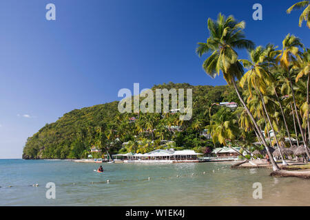 The Caribbean Sea off LaBas Beach, coconut palms at water's edge, Marigot Bay, Castries, St. Lucia, Windward Islands, Lesser Antilles, West Indies Stock Photo