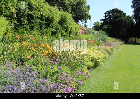 Floral border. Stock Photo