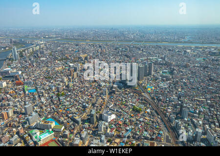 Aerial view of Tokyo city skyline with Asahi Beer Hall, Asahi Flame, Sumida River Bridges and Asakusa area, Tokyo, Japan, Asia Stock Photo