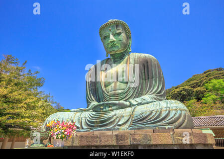 Big Buddha (Daibutsu), one of the largest bronze statue of Buddha Vairocana, Kotoku-in Buddhist Temple in Kamakura, Japan, Asia Stock Photo