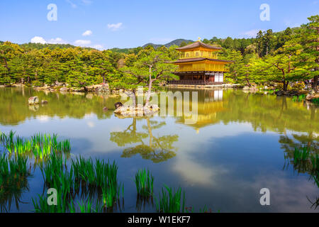 Kinkaku-ji (Golden Pavilion) (Rokuon-ji), Zen Buddhist temple, reflected in the lake surrounded by a scenic park, UNESCO, Kyoto, Japan, Asia Stock Photo