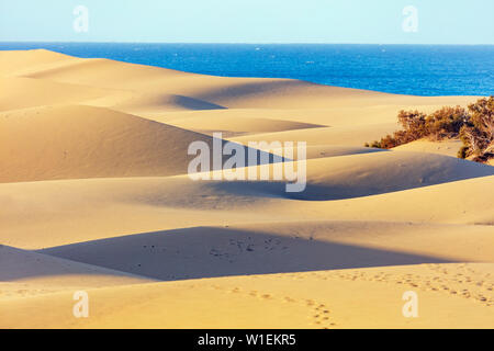 Dunes of Maspalomas Nature Reserve, Gran Canaria, Canary Islands, Spain, Atlantic, Europe Stock Photo