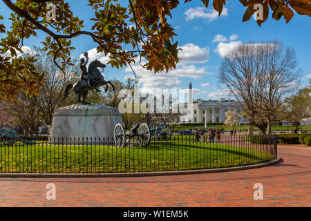 View of The White House and spring blossom in Lafayette Square, Washington D.C., United States of America, North America Stock Photo