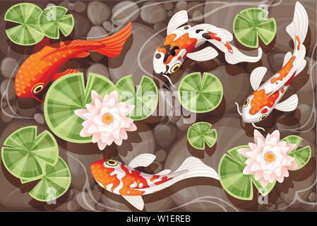 Koi carp swimming in a pond with lily lotus with green leaves on transparent water and stone bottom flat vector illustration Stock Vector