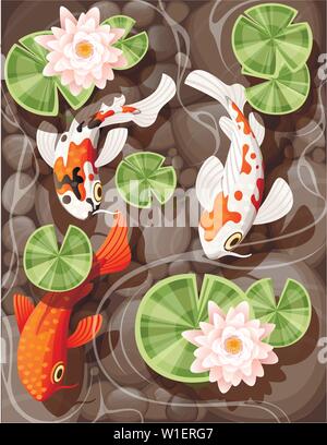 Koi carp swimming in a pond with lily lotus with green leaves on transparent water and stone bottom flat vector illustration Stock Vector