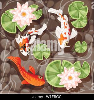 Koi carp swimming in a pond with lily lotus with green leaves on transparent water and stone bottom flat vector illustration Stock Vector