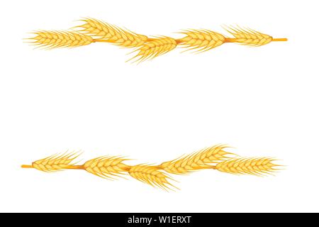 Ears of wheat lie in a row on white background flat vector illustration. Stock Vector