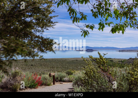 Paoha Island in Mono Lake Park viewed from Mono Basin Visitor Centre, Lee Vining, California, USA Stock Photo