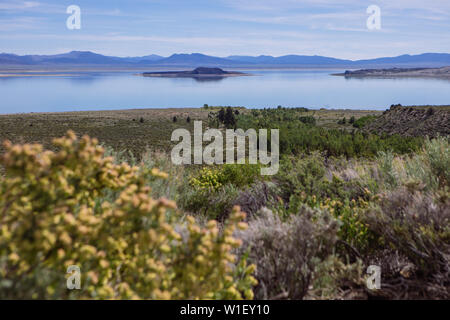 Paoha Island in Mono Lake Park viewed from Mono Basin Visitor Centre, Lee Vining, California, USA Stock Photo