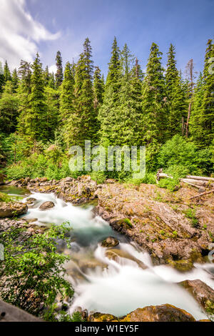 Sol Duc River in Olympic National Park, Washington, USA. Stock Photo