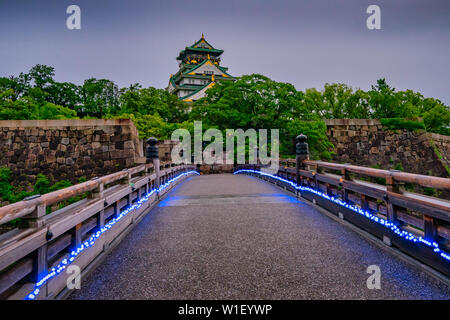 Osaka castle during rain Stock Photo