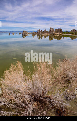 Wide angle portrait view of the Tufas in Mono Lake, Calcium-Carbonate Spires and Knobs, Lee Vining, California, USA Stock Photo