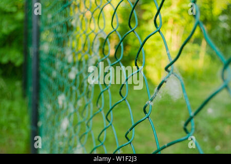 Close up of metal chain-link in the garden. Diamond mesh wire fence on blurred green background. Iron grating net at summer patterning. Grid in sunny Stock Photo