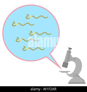 Worms and Microscope Dangerous Bad Parasites. Ascarid, Helminth Pinworm Threadworm Stock Vector