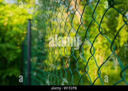 Close up of metal chain-link in the garden. Diamond mesh wire fence on blurred green background. Iron grating net at summer patterning. Grid in sunny Stock Photo