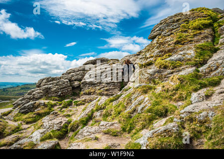 Haytor Rock, in Dartmoor National park, Devon, England, UK. Stock Photo