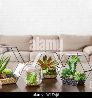 Indoor plants in florarium vases on table Stock Photo