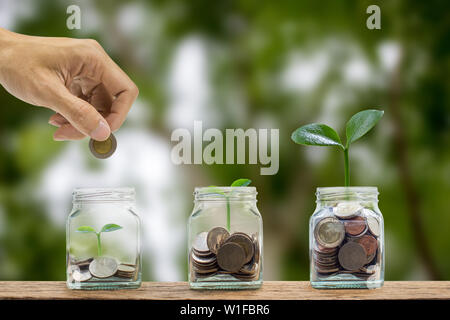 Saving money concept. Business and finance investment. A man hand putting coin into glass bottle containing coins, Growth plant on stack of coins. Dep Stock Photo