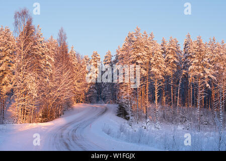 Snowy and icy road winding through winter forest landscape Stock Photo