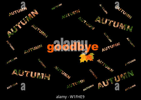 Text with the words autumn goodbye on a black background. Seasons, autumn theme on a poster Stock Photo