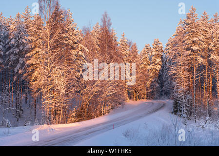 Snowy and icy road winding through winter forest landscape Stock Photo