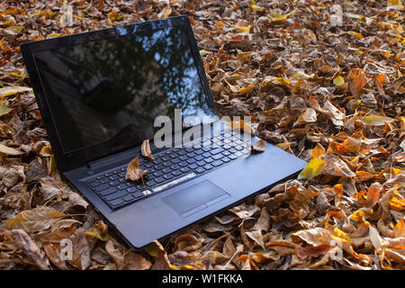 Thrown out a broken laptop in a landfill. Lined with fall foliage Stock Photo