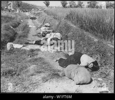 Korean civilians fleeing from the North Korean forces, killed when caught in the line of fire during night attack by guerrilla forces near Yongsan.; General notes:  Use War and Conflict Number 1507 when ordering a reproduction or requesting information about this image. Stock Photo