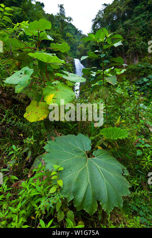 Paraguas para niños costa rica Clearance