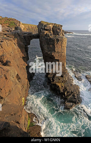 Sea Stack At Yesnaby Scotland joined to mainland by rock bridge Stock Photo