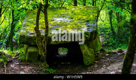 A Magic dolmen or table-stone covered by moss in Russian mountain forest. Stock Photo