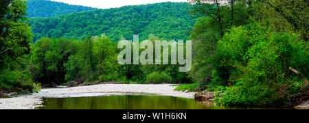 Mountain river flowing through the green forest. Stock Photo