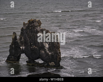 The large single Hvitserkur basalt rock on the Icelandic coast Stock Photo