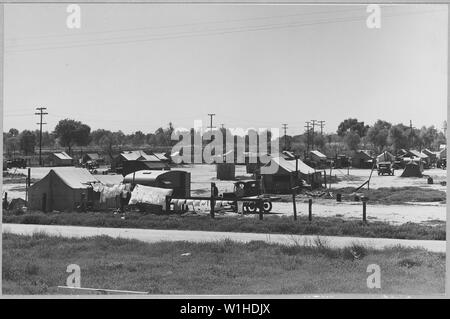 Oildale, Kern County, California. Tent village another private auto court for agricultural workers . . .; Scope and content:  Full caption reads as follows: Oildale, Kern County, California. Tent village another private auto court for agricultural workers on and off relief. Most of the workers live here permanently. Stock Photo